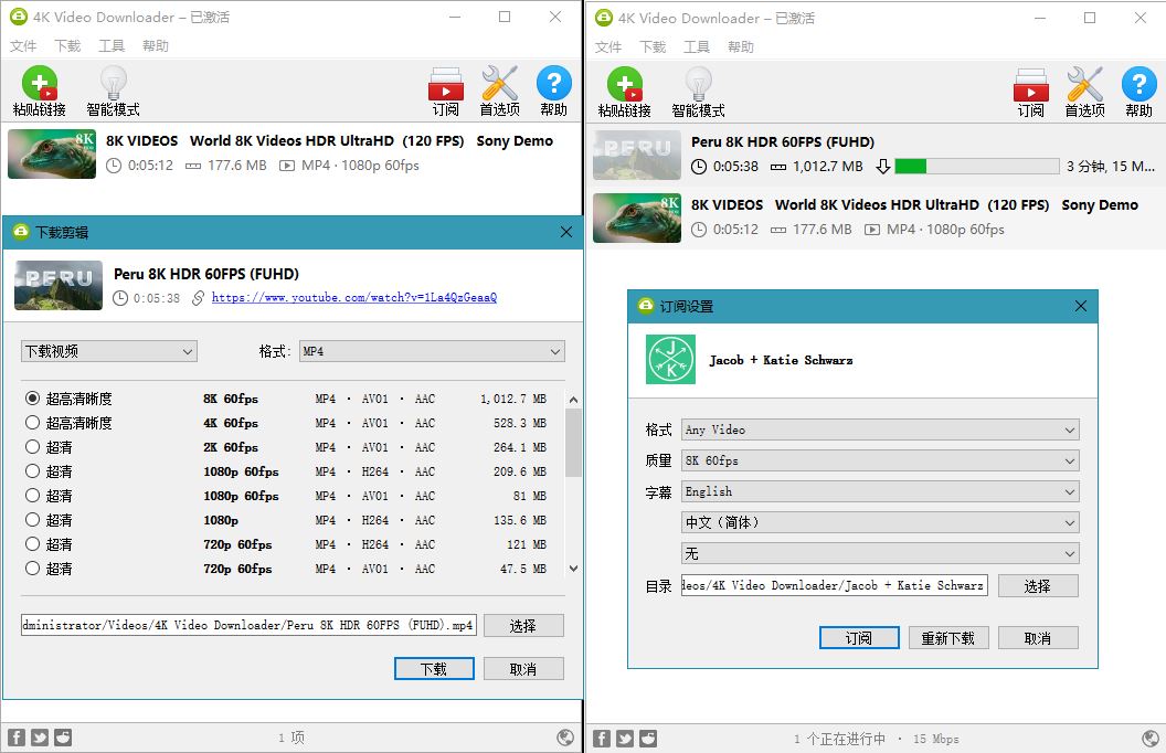 油管高清视频下载利器 4K Video Downloader v4.19.0-淘源码网